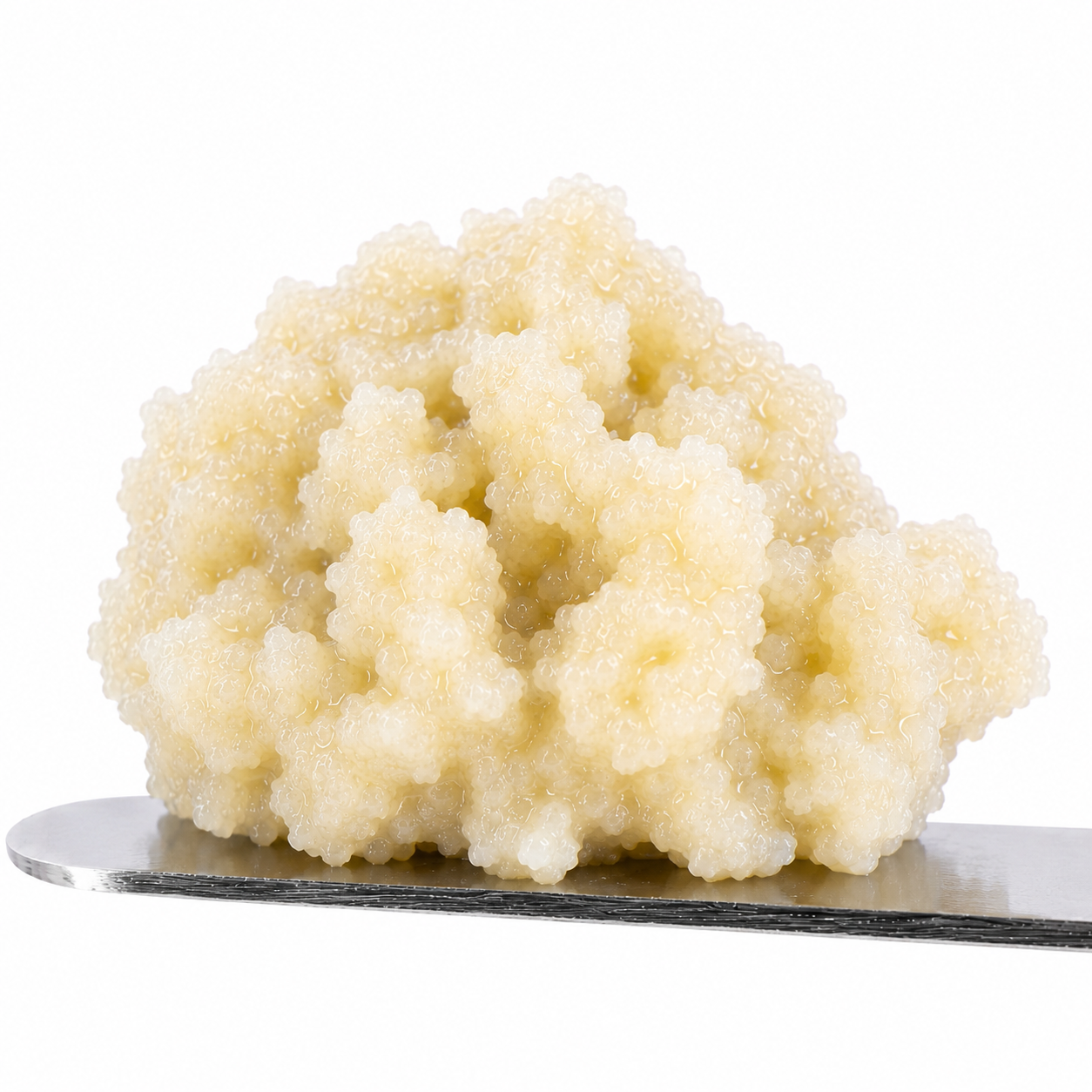 Rambutan THCA Hash Rosin