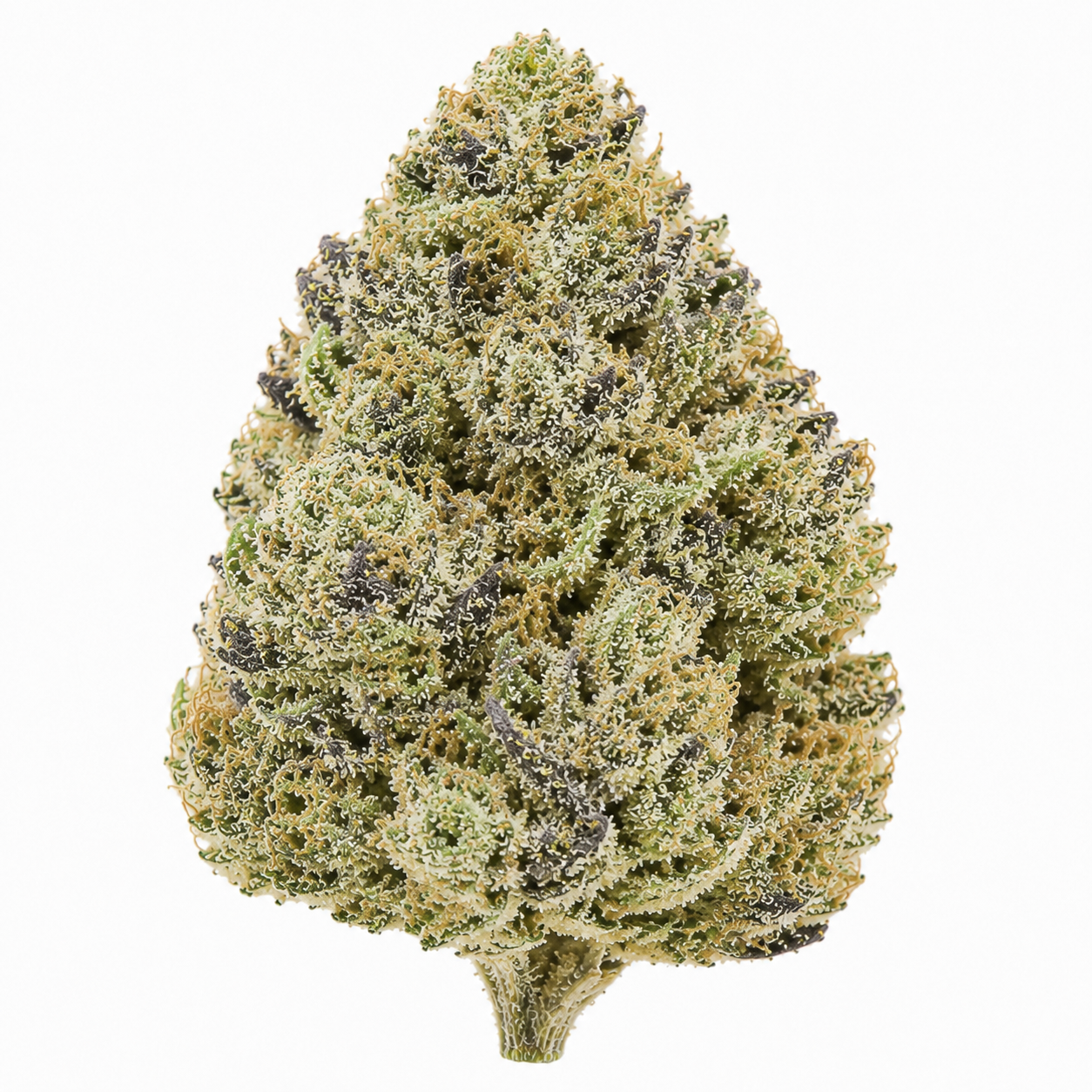 Gusherz THCA Flower