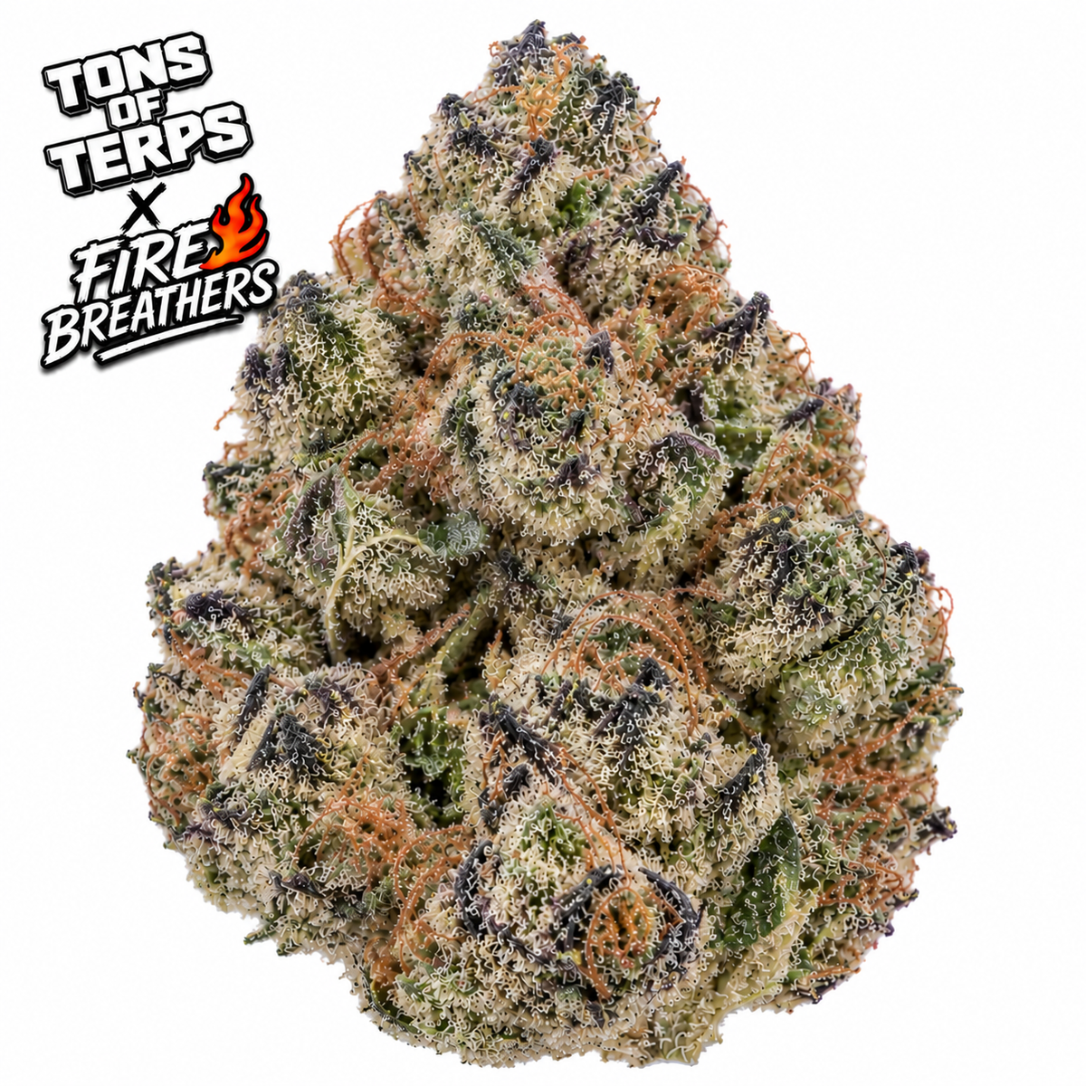 Tons of Terps x Fire Breathers Pi Chew