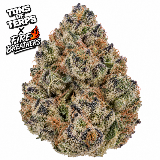 Tons of Terps x Fire Breathers Pi Chew