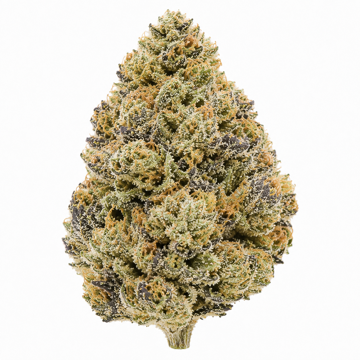 Zlushie THCA Flower