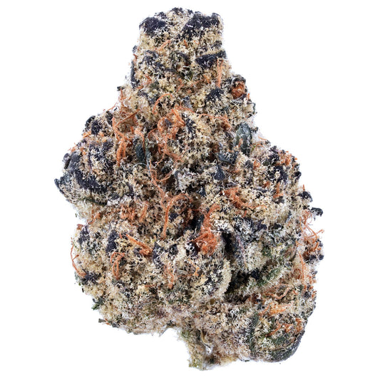 Animal Cookies (GSC x Tsunami)