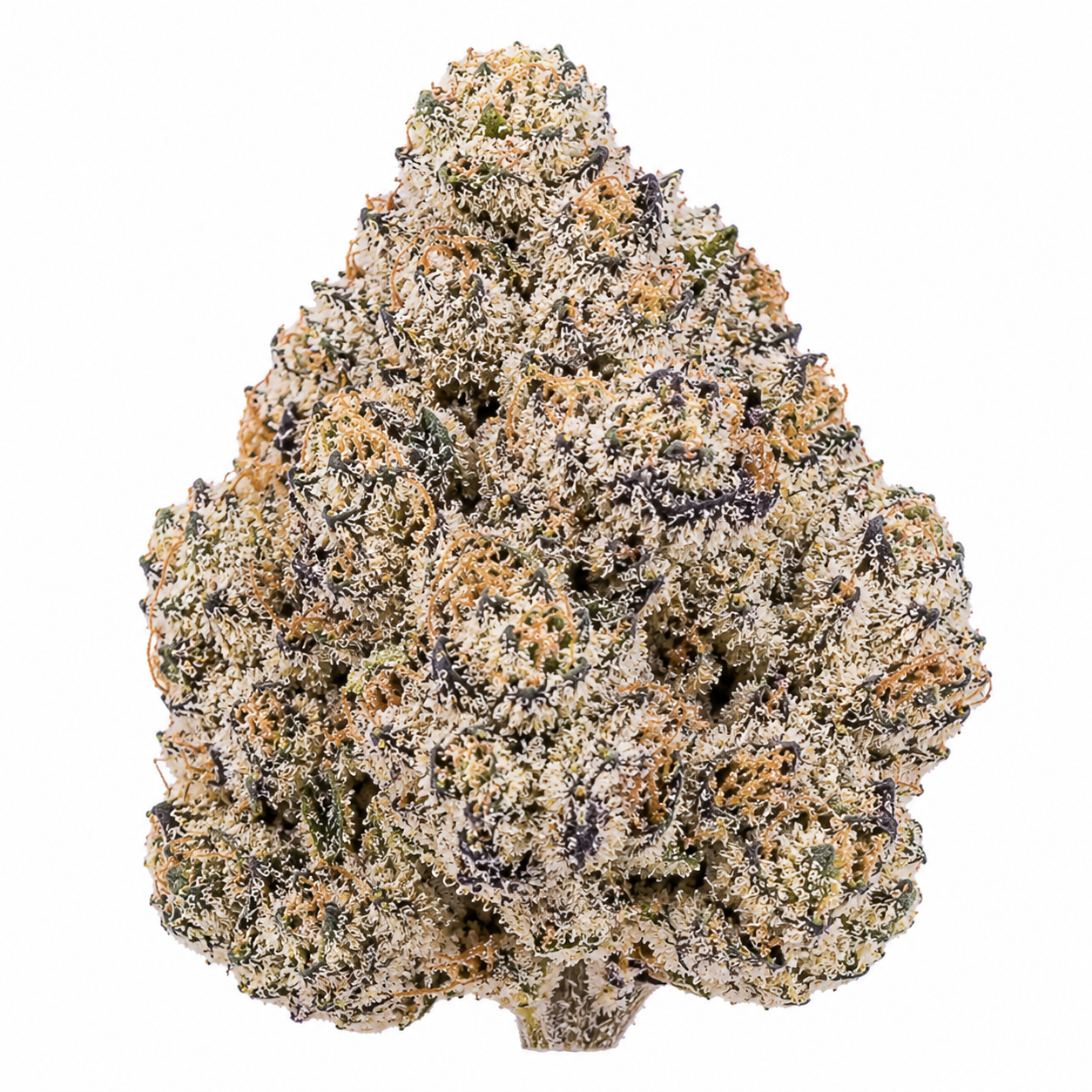 Blue Lobster THCA Flower