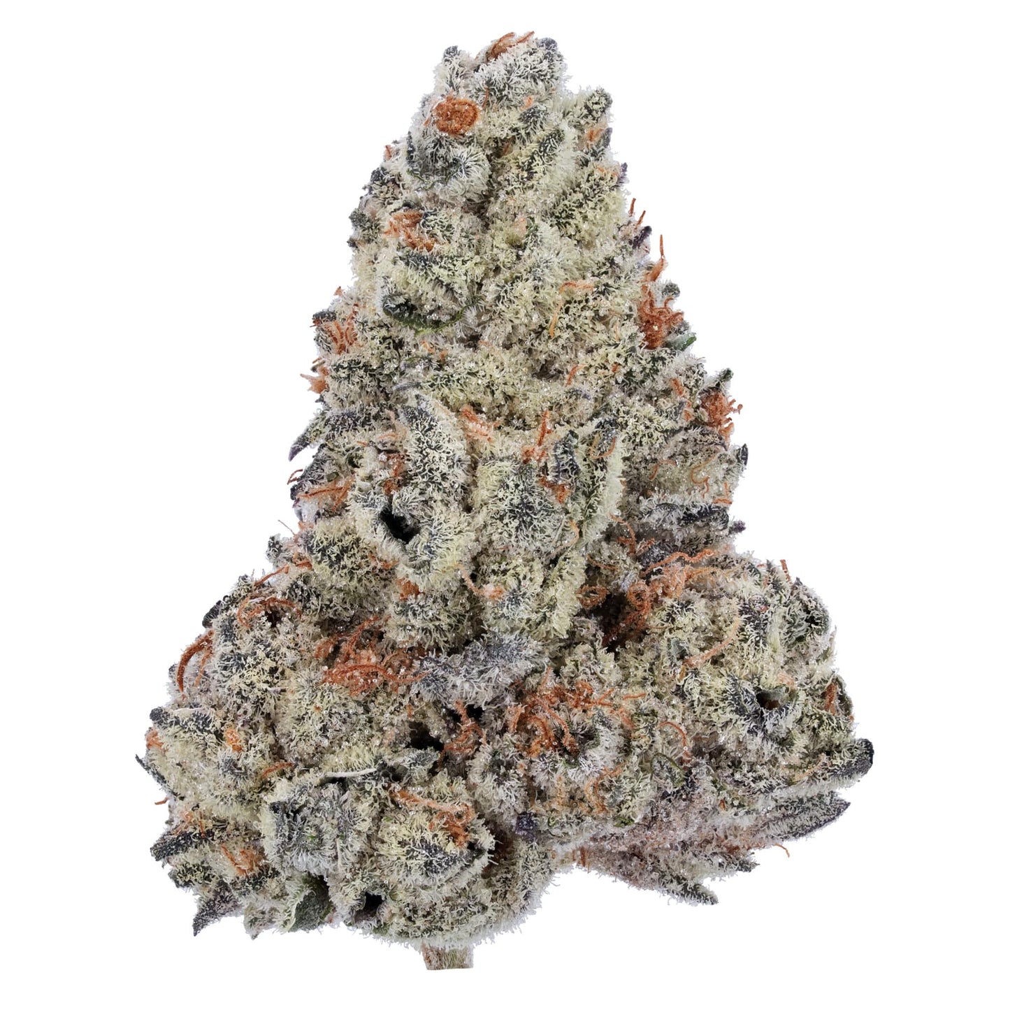 Legacy Blue Dream THCA Flower