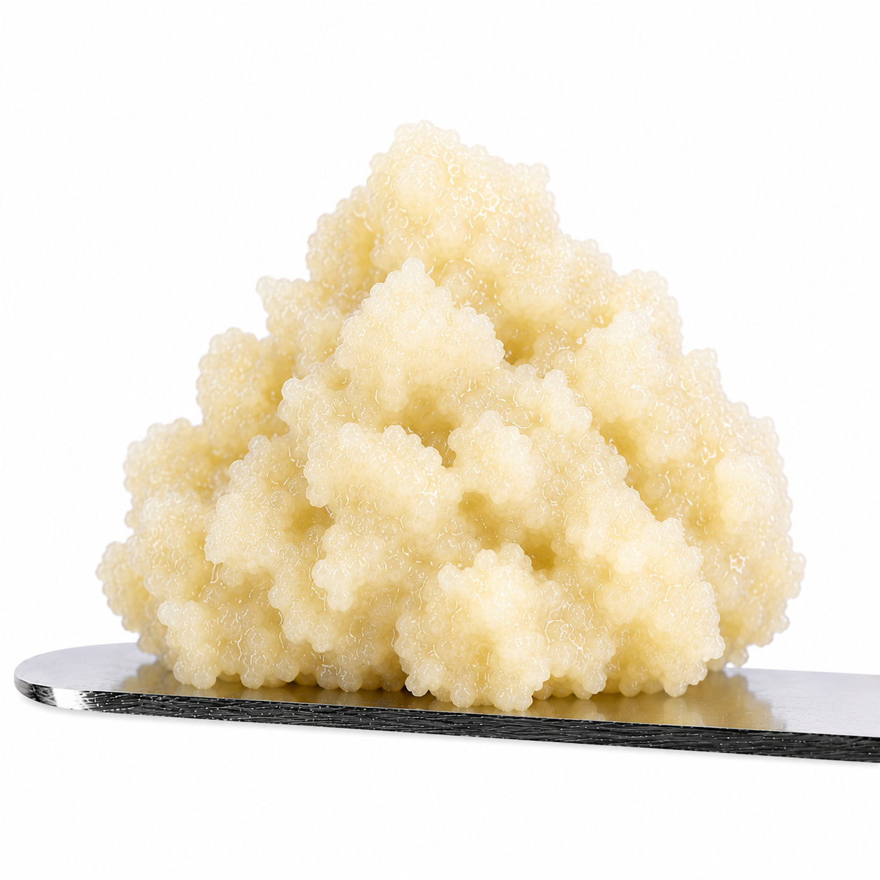 Whitethorn Rose THCA Hash Rosin
