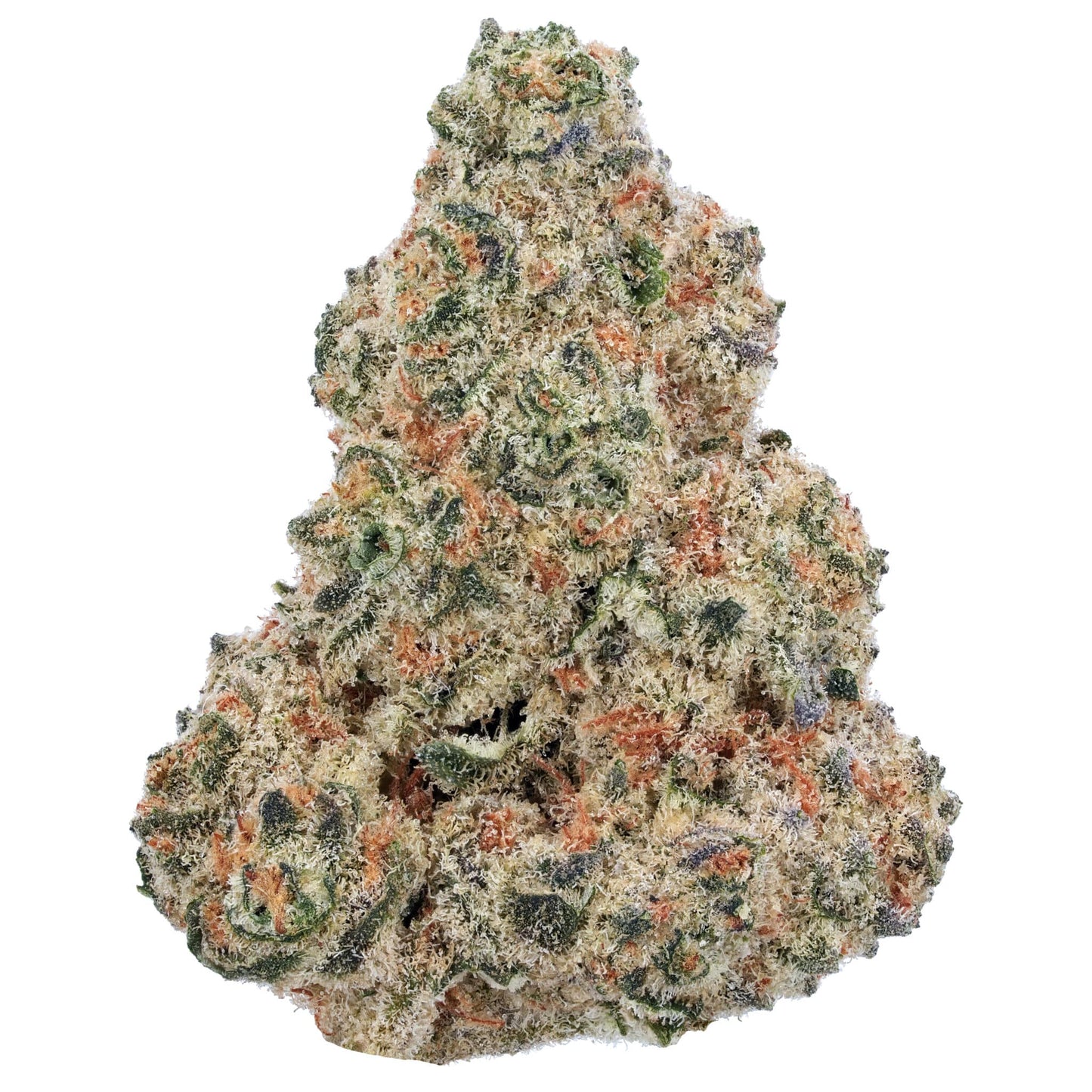 GuavaZ (Z x Guava)