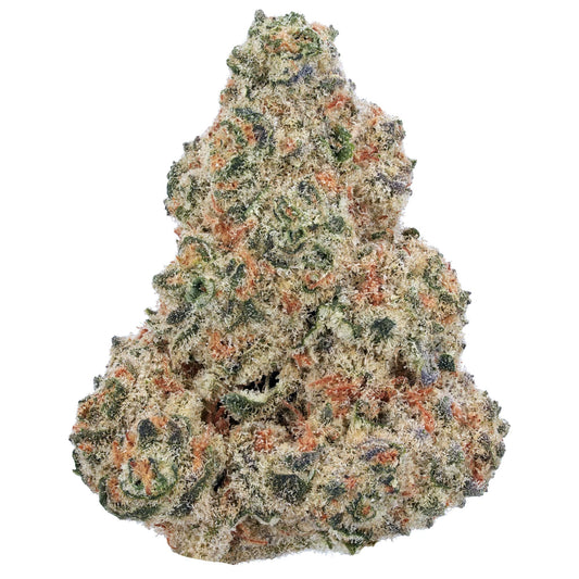GuavaZ (Z x Guava)