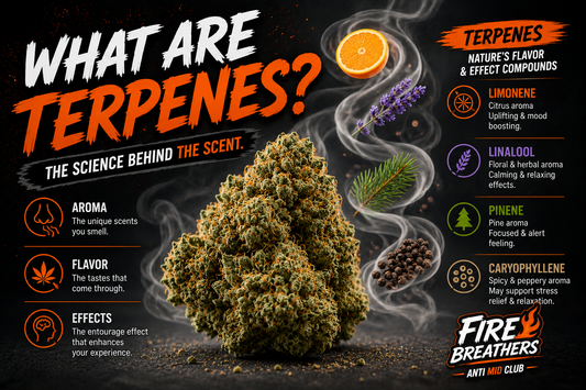 What Are Terpenes? The Complete Guide to Cannabis Flavor, Aroma, and Effects.
